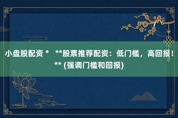 小盘股配资 *   **股票推荐配资：低门槛，高回报！** (强调门槛和回报)