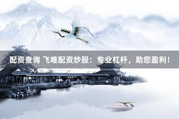 配资查询 飞唯配资炒股：专业杠杆，助您盈利！