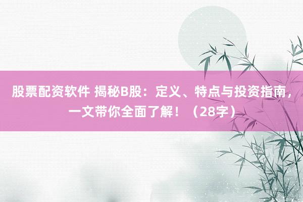 股票配资软件 揭秘B股：定义、特点与投资指南，一文带你全面了解！（28字）