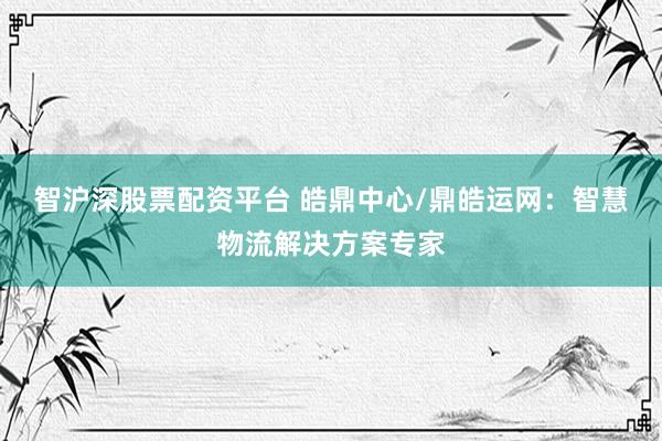 智沪深股票配资平台 皓鼎中心/鼎皓运网：智慧物流解决方案专家