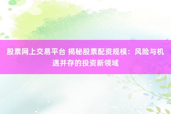 股票网上交易平台 揭秘股票配资规模：风险与机遇并存的投资新领域