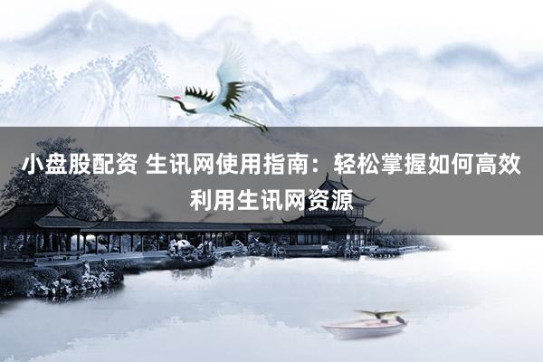 小盘股配资 生讯网使用指南：轻松掌握如何高效利用生讯网资源